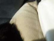 国产精品逃课系列全黑内套的师妹开房被插得说疼高清无水印