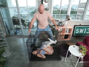 从他的朋友那里得到一份礼物吸允鸡巴