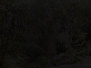 [IPZ-637] 超偶像级美少女冲击AV出道 桃乃木かな【BVPP】 - 1of5