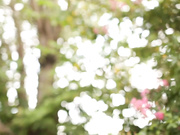 [STAR-424] コスプレ連続激イキ 橘梨紗【BVPP】 - 1of5