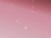 [RHJ-140] レッドホットジャム Vol.140 あまえんぼう  森ゆきな【無碼】 - 1of5