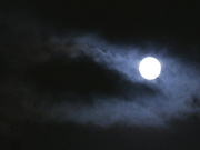 [PFES-067] 回老家的7天被大嫂魔性的微笑和透明的美尻诱惑的我 水戸かな【破解】 - 1of5