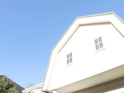 [CAND-1231] 恋するスチューピッド 安田美鈴 - 1of5