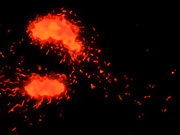 [魔人]黒獣（クロイヌ）～気高き聖女は白濁に染まる～ ～オリガ×クロエ 黒の城、崩落編～