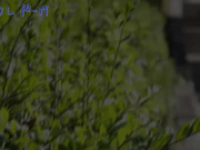 轻熟女惩罚胖男人