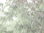 [SBMO-1271] 私たち・・おエッチですかね・・？ 広瀬あすかVS内田まりこ - 2of5