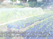 [FTAV-003] 彼の事は愛してる、でも…これからする事を想像しただけでヌレてしまう… Iカップ・現役看護師・22歳 笹本ゆう - 1of5