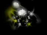 H0930 ki241121 大嶺 準 26歳