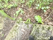 周末趁着老爸工地加班，带着继母去山里，我掀起她的性感蕾丝，没想到继母居然连内裤都没穿，最后无情“抱”操内射她