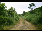 《发烧友✅绝版珍藏✅修复AI增强》国产古装怀旧打真军四级电影《倩女销魂》原滋原味内容超前，国语对话，女一号清纯美丽