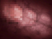 [じゅうしぃまんご～]OVA 巨乳家族催眠 ＃1 家族の絆