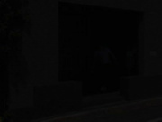 [HAR-077]  レイプで中出しされる快感にハマりさらなる中出しチコを求める過剰性欲姉妹