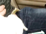 对白精彩的如狼似虎骚妇主播性感黑丝勾搭滴滴司机大哥车震外面下雪了冻死这狗男女