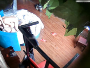 精品酒店偷拍文静漂亮的大学美女被很会玩的男友绑在炮架上玩后又在床上各种爆操,真能干连续搞了3次!