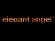 《幽雅天使高潮》第6卷。