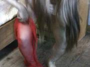 度娘云泄漏棒子大奶馒头粉穴野模宾馆大胆私拍 这下体啥都往里塞啊 高清淫荡套图521P+视频1V完整版