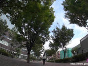 gachin娘! gachip255 瀬那~ス・テ・キ・な・おねぇサマ