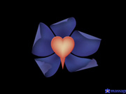 家庭按摩时被内射的德国金发女郎