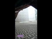 某寫字樓公廁盜錄白領美女如廁（三）-高清720P