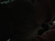 猪头厕拍系列之穿的萌萌哒的妹子和眼镜御姐，最后几个人好像被锁在厕所里面1080高清