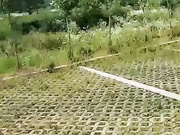 白嫩豪乳少妇女主播勾搭中巴司机户外停车坪玩车震不知道为何妹子爆粗骂个广东佬