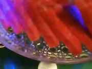 男神主播四哥酒店KTV包房看三陪小姐跳艳舞忍不住要和她打炮