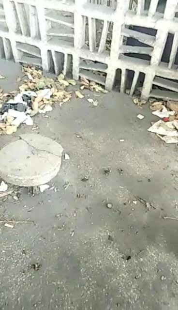 露脸骚货俏秘书跟小哥哥玩刺激的野战 找个没人的地方就口 被大几把后入 叫都不敢大声