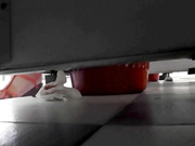 【全網首發】【國內廁拍】大神潛入某高校女廁溝廁偷拍學生美眉噓噓 有幾個妹子長得不錯，15人次 稀缺資源勁爆收藏～原版高清