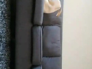 清纯妆扮高颜值美女酒店援交次数不多略微紧张换上女仆情趣装被狠狠干不停说不要不要还说喜欢主人操我嗲叫声诱人