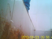 6月沟厕--连拍两只