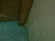 名牌大学双视角(拍脸赏逼)18亲戚来了速度还是很快的