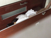 【全網首發】【最新廁拍】國內廁拍大神潛入某禮儀培訓機構女廁偷拍美女噓噓 有個高跟美女貌似在換衣服脫光了尿尿，15人次 稀缺資源勁爆收藏～原版高清