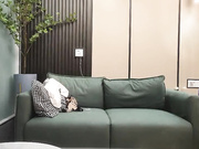 捶子探花酒店约操大奶美穴口吃的不要不要的